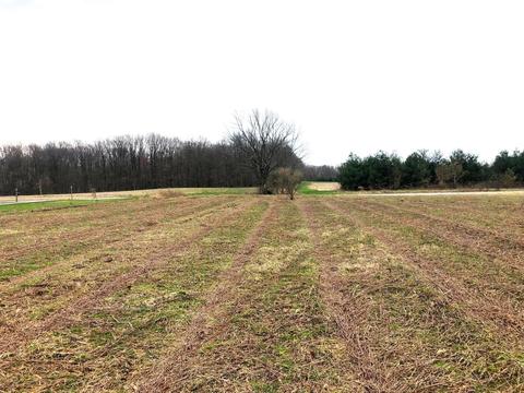 0 Township 111 Rd # 3.24, Mount Gilead, OH 43338