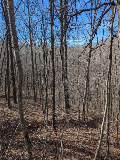 0 Turner, Ray, OH 45672 photo 2