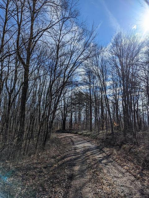 0 Turner, Ray, OH 45672 photo 6