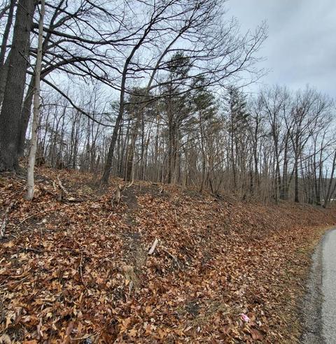 2128 Millers Run Back Run Rd, Lucasville, OH 45648