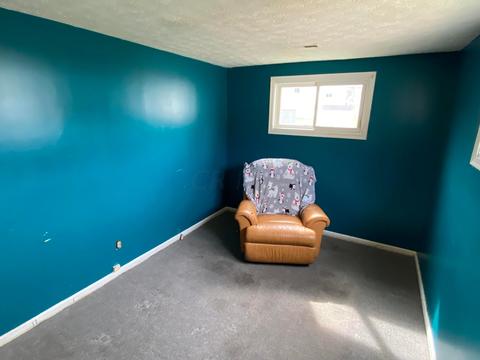 433 Ruth Ave, Circleville, OH 43113 photo 21