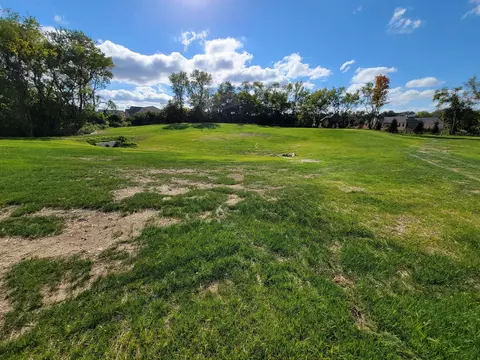 6583 Scioto Bluff Ct, Powell, OH 43065 photo 18