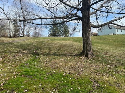 0 Buchanan St, Baltimore, OH 43105 photo 12