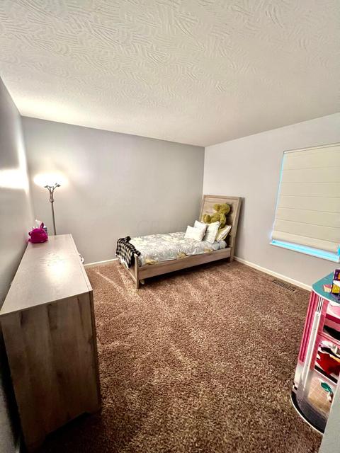 895 Salinger Dr, Lithopolis, OH 43136 photo 22