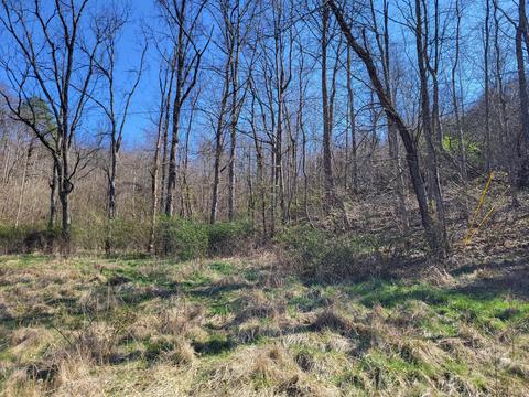 421 Valentine Rd, Ray, OH 45672 photo 4