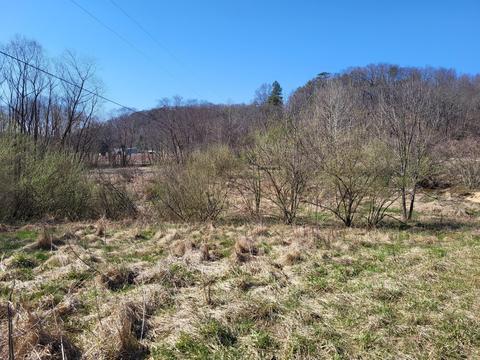 421 Valentine Rd, Ray, OH 45672 photo 24