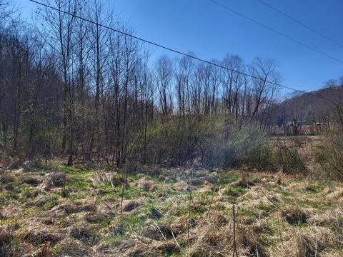 421 Valentine Rd, Ray, OH 45672 photo 23
