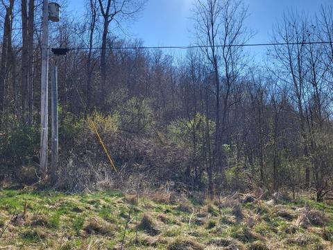 421 Valentine Rd, Ray, OH 45672 photo 22