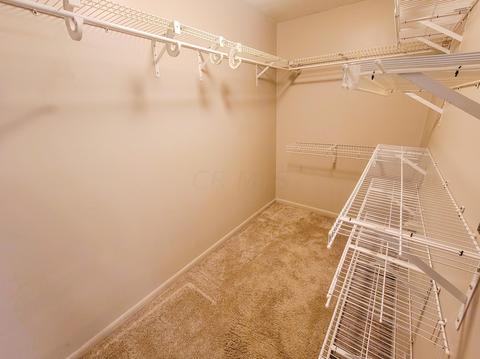 509 Harbor Point Dr, Celina, OH 45822 photo 14