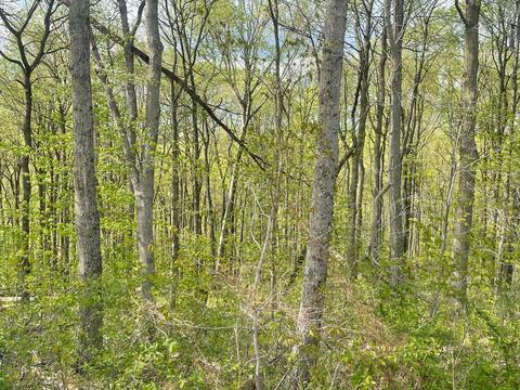0 Red Bud Rd- 575 Acres Rd, Dresden, OH 43821