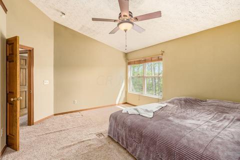 101 Beech Ct, Delaware, OH 43015 photo 22