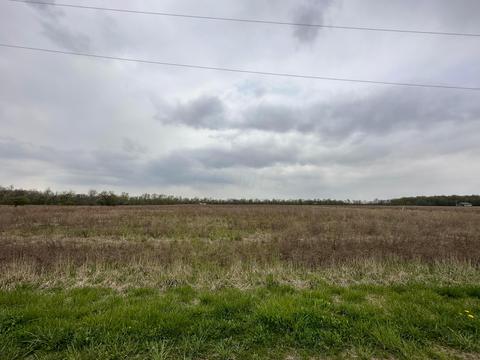 0 Tyler Rd #LOT 1, Ostrander, OH 43061