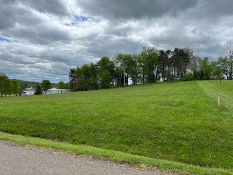 0 Amby Ln, Vinton, OH 45686 photo 8