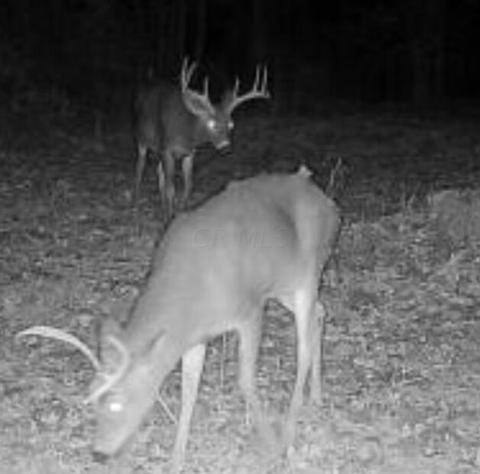 649 Brohard Rd, Ray, OH 45672 photo 18