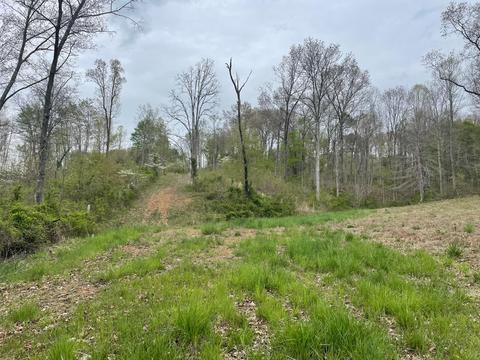 649 Brohard Rd, Ray, OH 45672 photo 6
