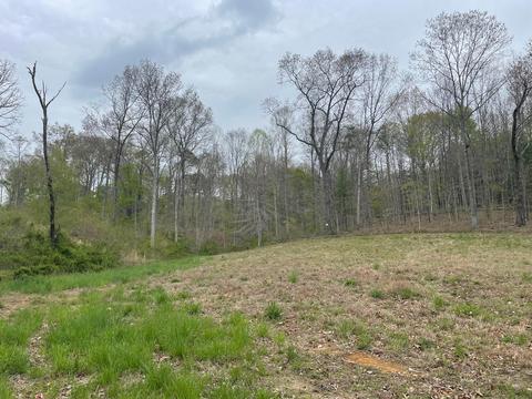 649 Brohard Rd, Ray, OH 45672 photo 8