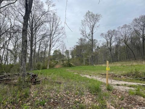 649 Brohard Rd, Ray, OH 45672 photo 15