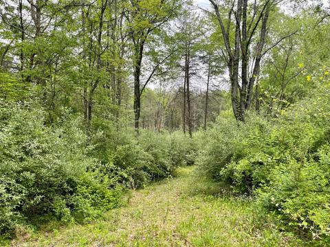 0 Pumpkin Ridge Rd, New Plymouth, OH 45654