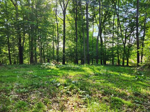 0 Longwood Dr NE, Lancaster, OH 43130