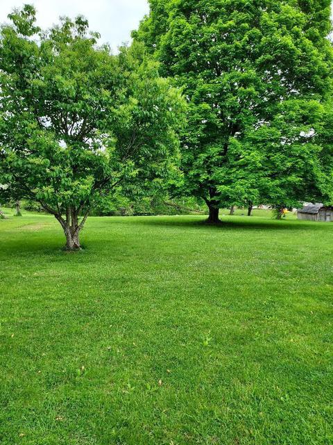 11590 Elder Ln, Lithopolis, OH 43136 photo 6