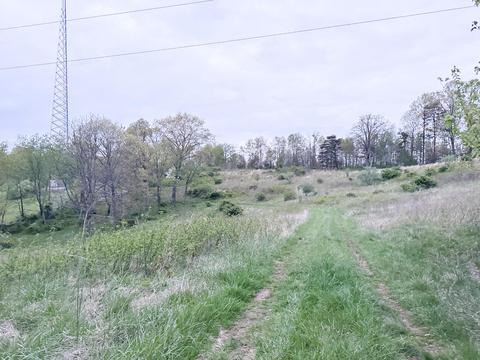 480 White Rd, Jackson, OH 45640 photo 4