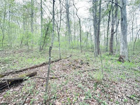 480 White Rd, Jackson, OH 45640 photo 6