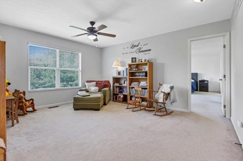 388 Rolling Acre Dr, Lithopolis, OH 43136 photo 43