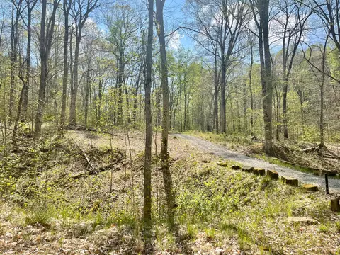 0 Dunlap Rd, Rockbridge, OH 43149