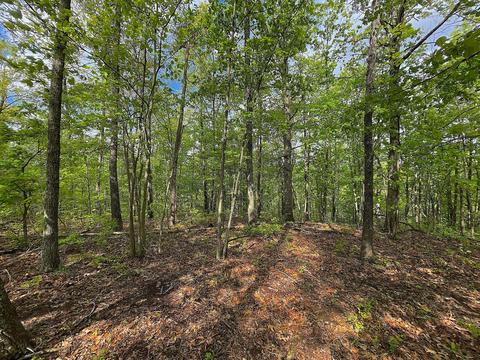 478 Hamilton Rd, Crown City, OH 45623