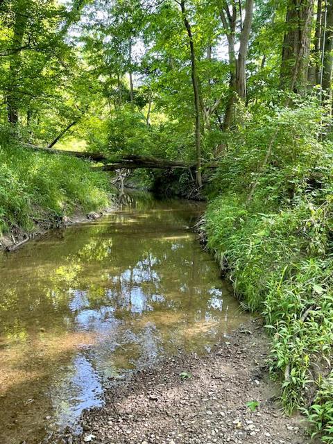 4554 Hook Rd, Crestline, OH 44827 photo 25