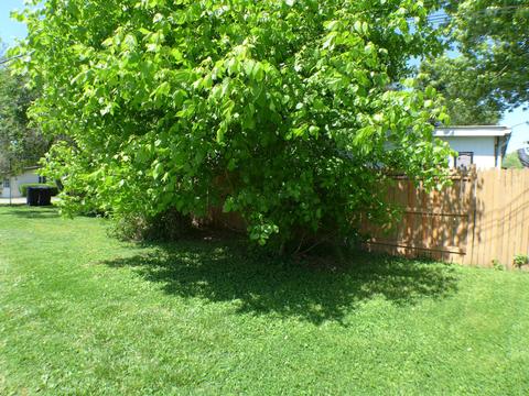 954 Charles St, Logan, OH 43138 photo 37