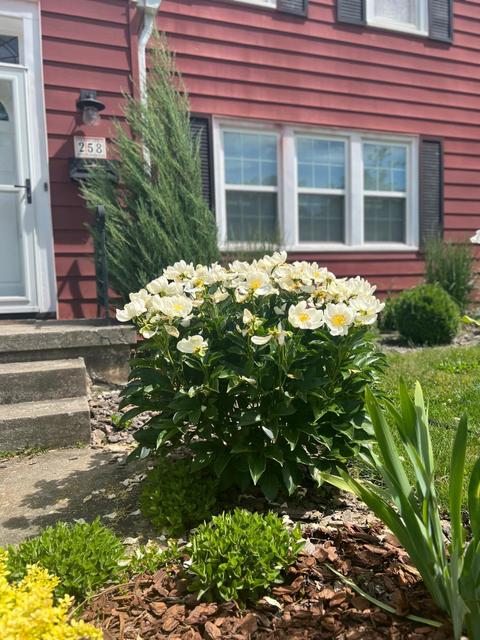 258 E Como Ave, Columbus, OH 43202 photo 6