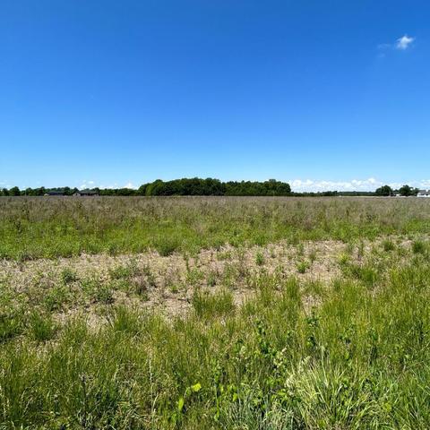 1083 Tyler Rd, Ostrander, OH 43061