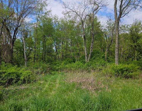 0 Spring Lake Rd, Mansfield, OH 44905