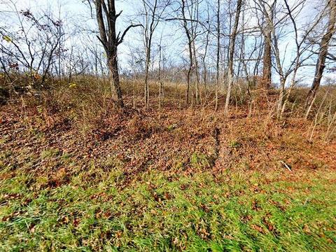 0 Licking Valley Rd, Frazeysburg, OH 43822