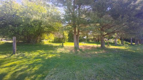 1086 Prospect-mt Vernon Rd E, Waldo, OH 43356 photo 6