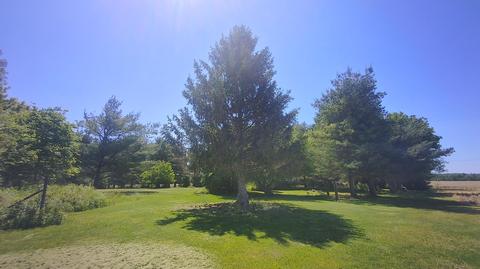 1086 Prospect-mt Vernon Rd E, Waldo, OH 43356 photo 7