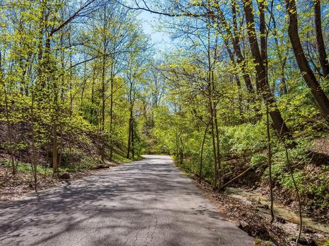 156 E Pacemont Rd, Columbus, OH 43202 photo 54