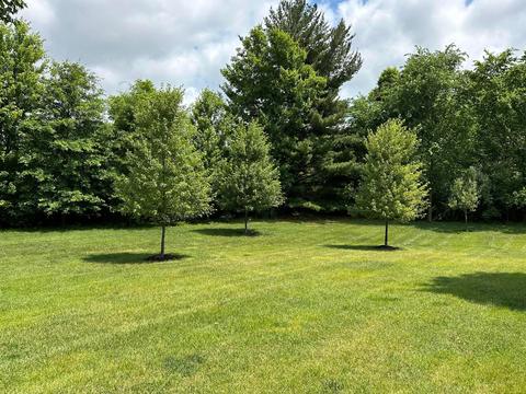 7032 Bordeaux Ct, Dublin, OH 43016 photo 6
