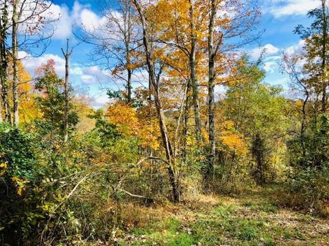 5502 Irish Ridge Rd SE, Corning, OH 43730