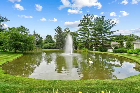 3230 Scioto Bluff Ave, Dublin, OH 43017 photo 57