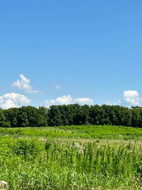 0 Dingess Rd #LOT 4, Circleville, OH 43113