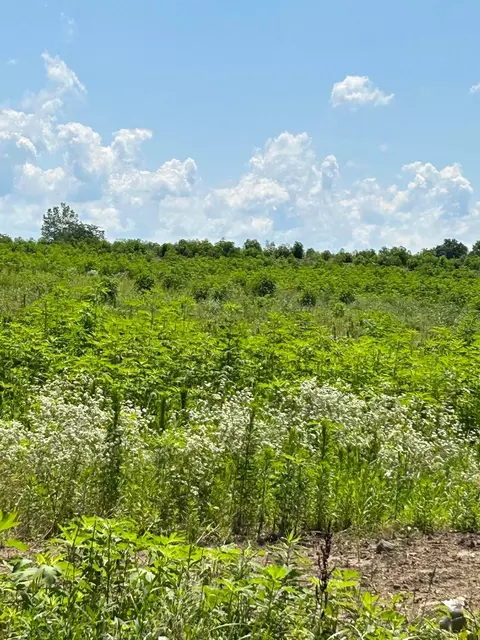 0 Shoemaker Road Lot 1 Rd, Circleville, OH 43113