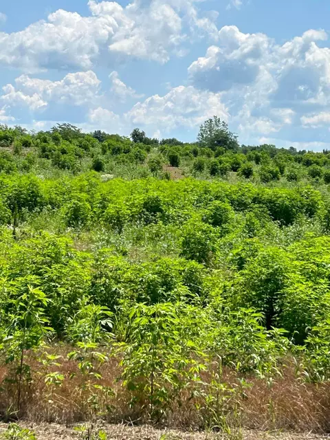 0 Shoemaker #LOT 2, Circleville, OH 43113
