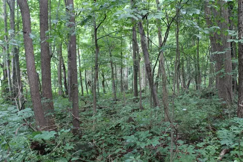 0 State Rd 60, Vermilion, OH 44089