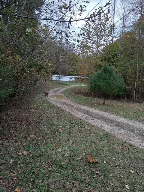 13858 Rosefarm Rd, Crooksville, OH 43731