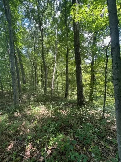 0 Thompson Ridge Rd, Laurelville, OH 43135