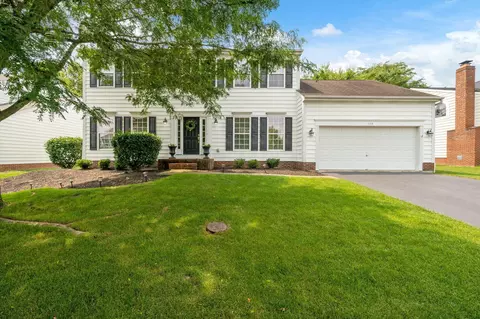 159 Timber Oak Dr, Powell, OH 43065