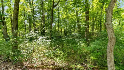755 Maple Ave, Hebron, OH 43025 photo 50