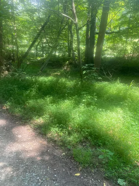 604 Woodruff Rd, Ray, OH 45672 photo 2